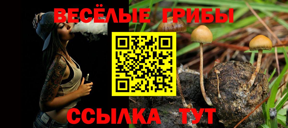 Псилоцибиновые грибы прущие грибы  Вход с VPN  Заводоуковск  Псилоцибиновые грибы Magic Shrooms 